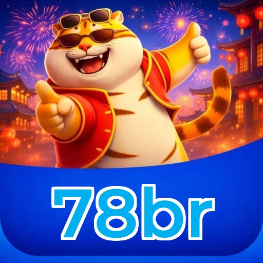 Ilustração de estatísticas da 78br — valores meramente promocionais